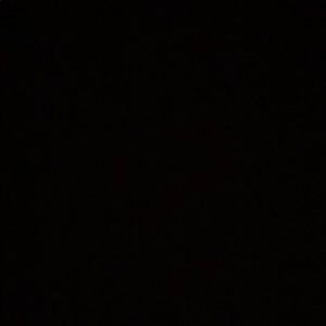 Meet your Posher, Riley